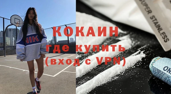 дживик Белокуриха