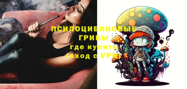 дживик Белокуриха