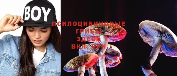 дживик Балабаново