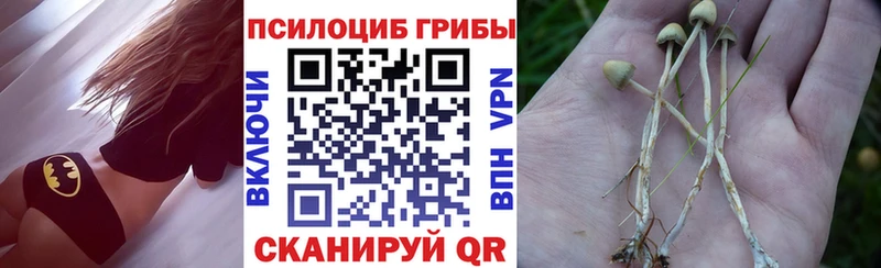 где купить наркоту  Шиханы  Галлюциногенные грибы GOLDEN TEACHER 